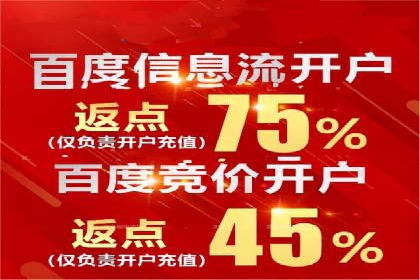 SEM优化策略：实战案例解析与优化技巧